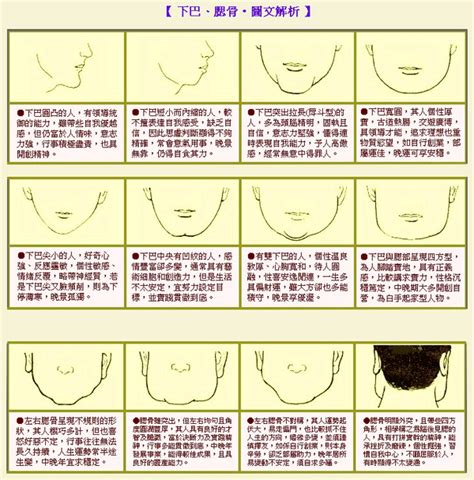 圓下巴面相|圓下巴：面相學的新寵兒